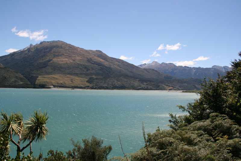 Nieuw-Zeeland 2011 - 1581